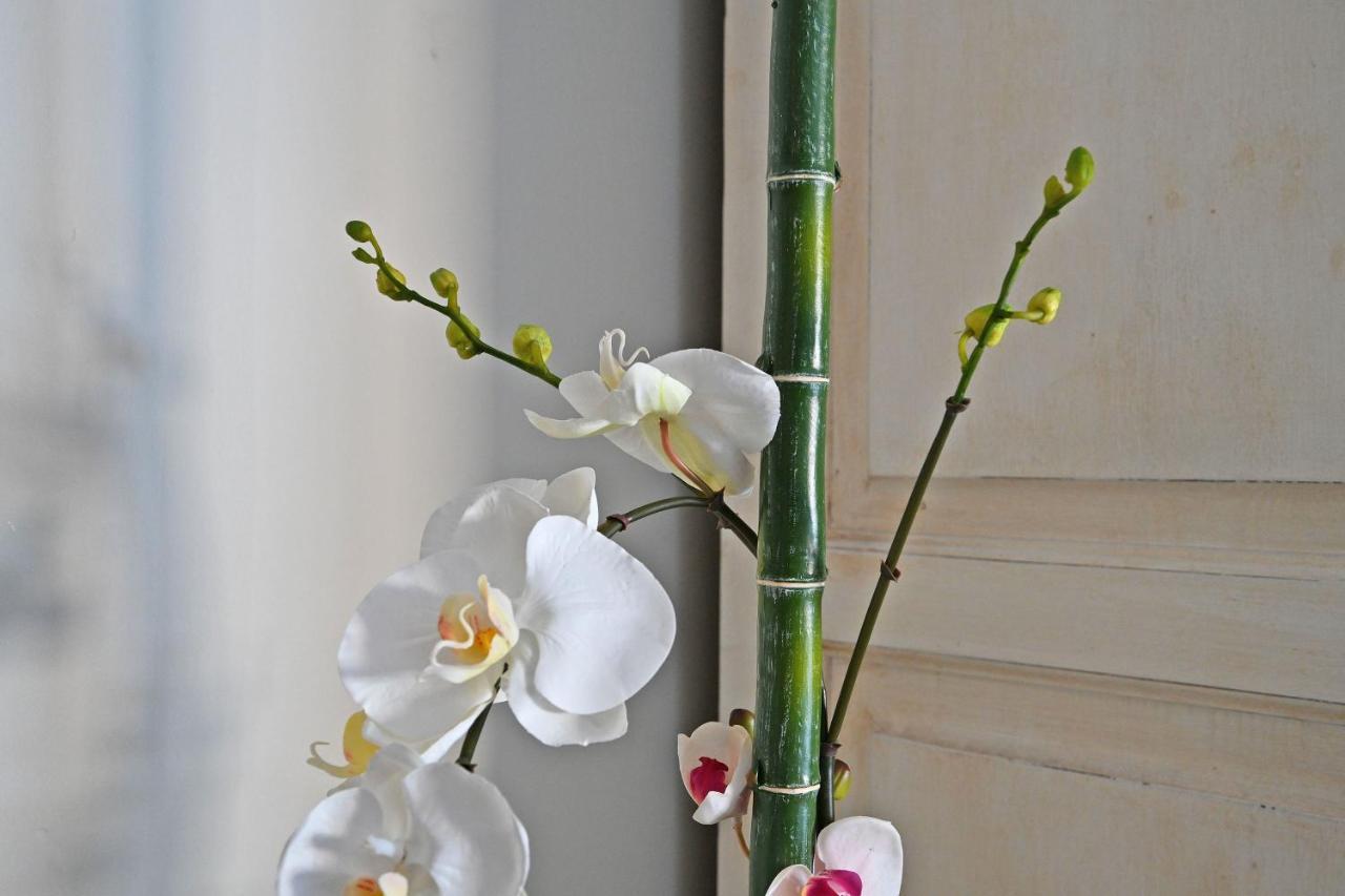 אביניון Au Coeur Des Papes, Dans Batisse De Charme Studios & Appartements En Coeur De Ville מראה חיצוני תמונה